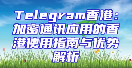 Telegram香港：加密通讯应用的香港使用指南与优势解析