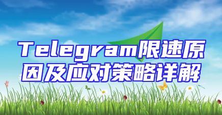 Telegram限速原因及应对策略详解