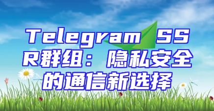 Telegram SSR群组：隐私安全的通信新选择