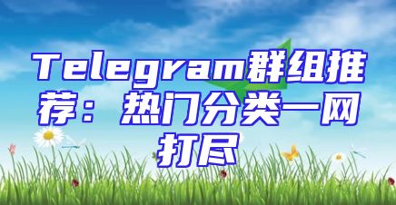 Telegram群组推荐：热门分类一网打尽