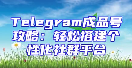 Telegram成品号攻略：轻松搭建个性化社群平台