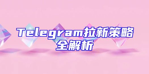 Telegram拉新策略全解析
