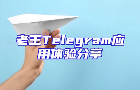 老王Telegram应用体验分享