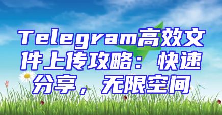 Telegram高效文件上传攻略：快速分享，无限空间