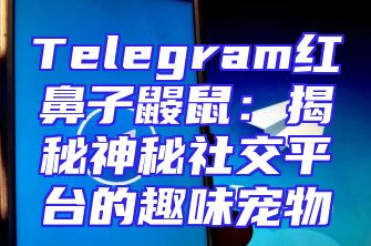 Telegram红鼻子鼹鼠：揭秘神秘社交平台的趣味宠物