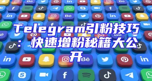 Telegram引粉技巧：快速增粉秘籍大公开