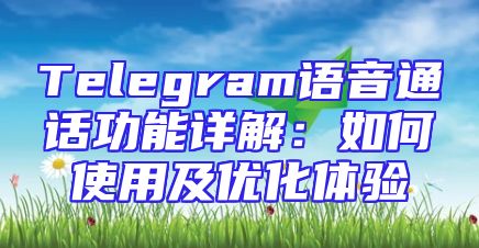 Telegram语音通话功能详解：如何使用及优化体验