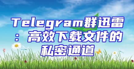 Telegram群迅雷：高效下载文件的私密通道