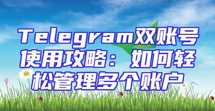 Telegram双账号使用攻略：如何轻松管理多个账户