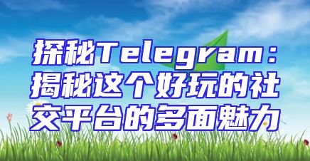 探秘Telegram：揭秘这个好玩的社交平台的多面魅力