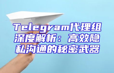 Telegram代理组深度解析：高效隐私沟通的秘密武器